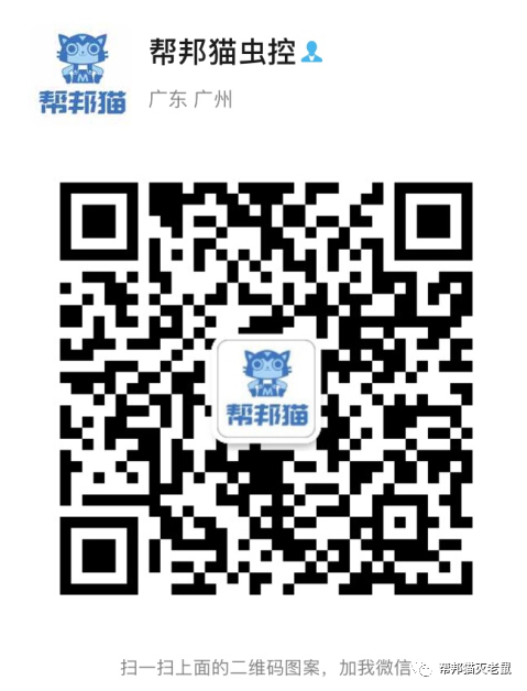 广州除跳蚤公司_广州灭跳蚤_灭跳蚤杀跳蚤服务公司