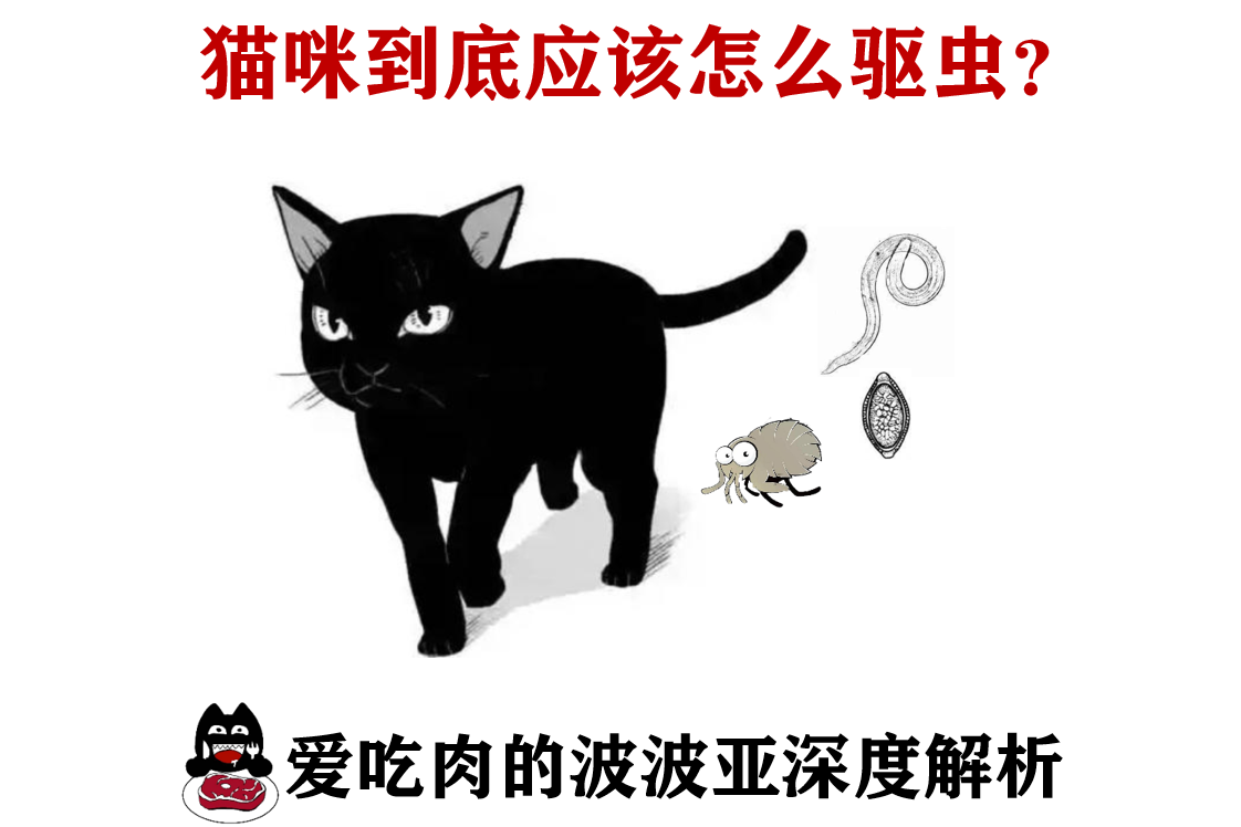 灭跳蚤药的成分是什么_灭跳蚤最有效的药_灭跳蚤药物