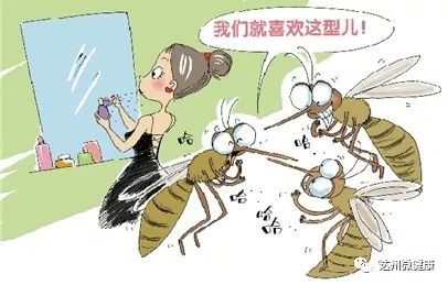 灭臭虫神器_灭臭虫用什么药和什么办法_灭臭虫药纸