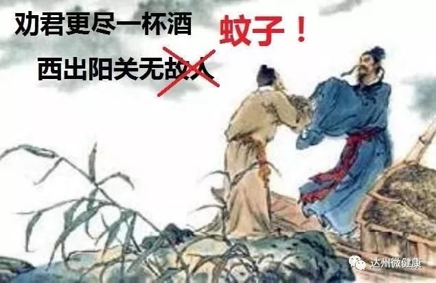 灭臭虫药纸_灭臭虫用什么药和什么办法_灭臭虫神器