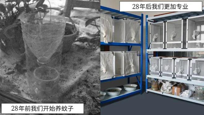 孕妇灭蚊小妙招_灭蚊子 孕妇_孕妇灭蚊