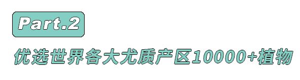 孕妇灭蚊_孕妇灭蚊小妙招_灭蚊子 孕妇