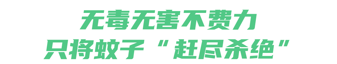 灭苍蝇的灯_灭苍蝇灯有用吗_灭苍蝇的灯是紫外线吗