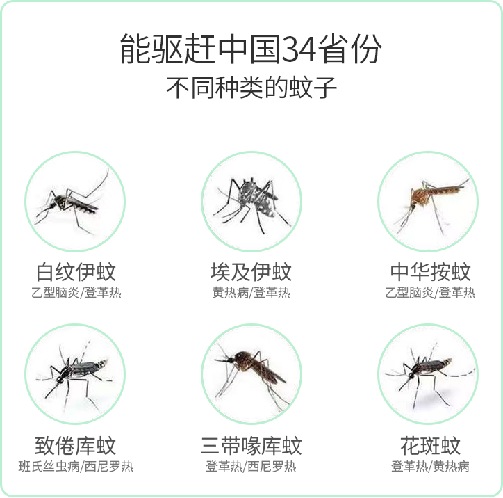 灭苍蝇的灯_灭苍蝇灯有用吗_灭苍蝇的灯是紫外线吗
