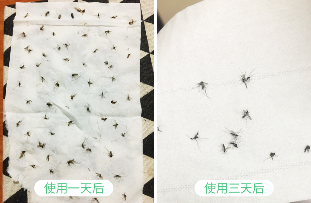 灭苍蝇灯有用吗_灭苍蝇的灯是紫外线吗_灭苍蝇的灯