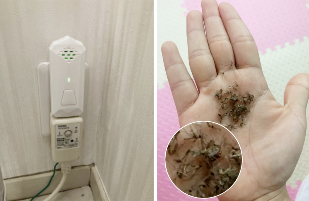 灭苍蝇灯有用吗_灭苍蝇的灯_灭苍蝇的灯是紫外线吗