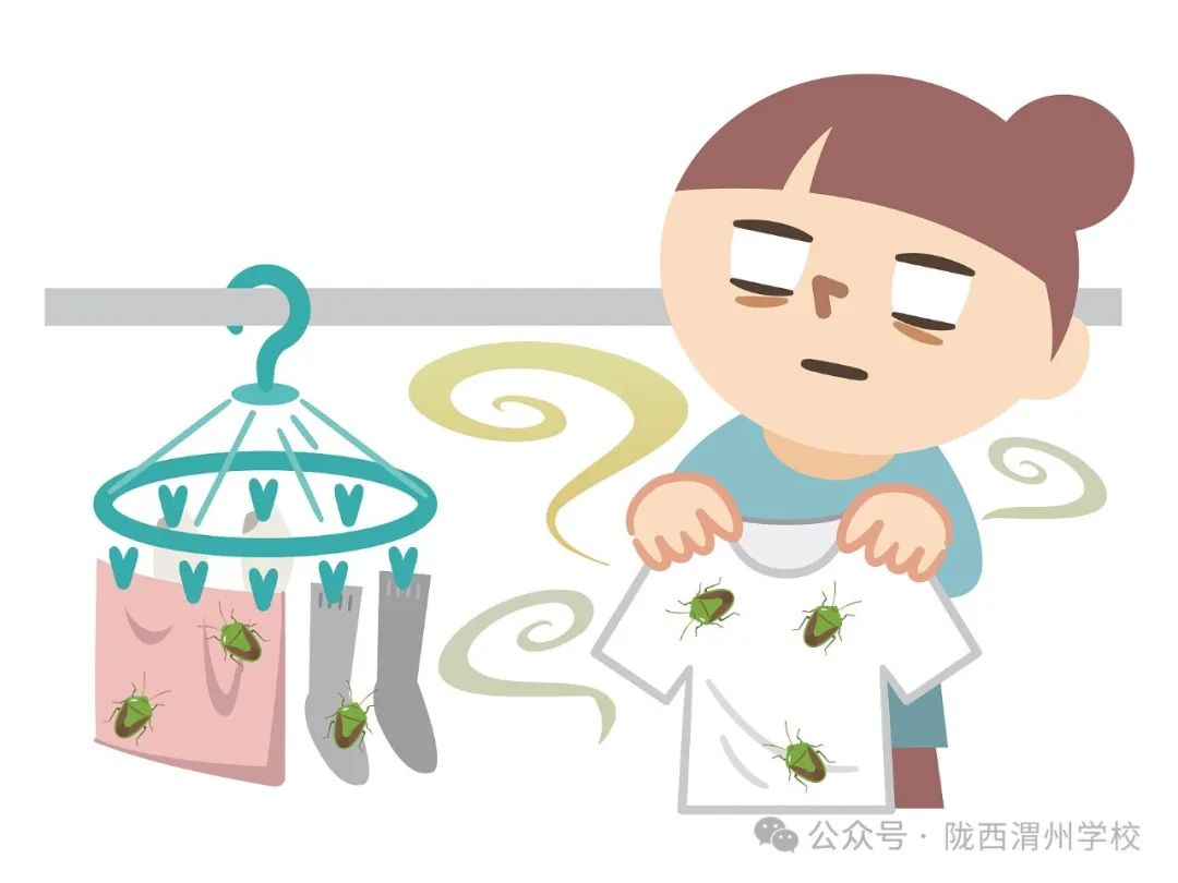 灭臭虫的用品_灭臭虫的最好方法_专业灭臭虫