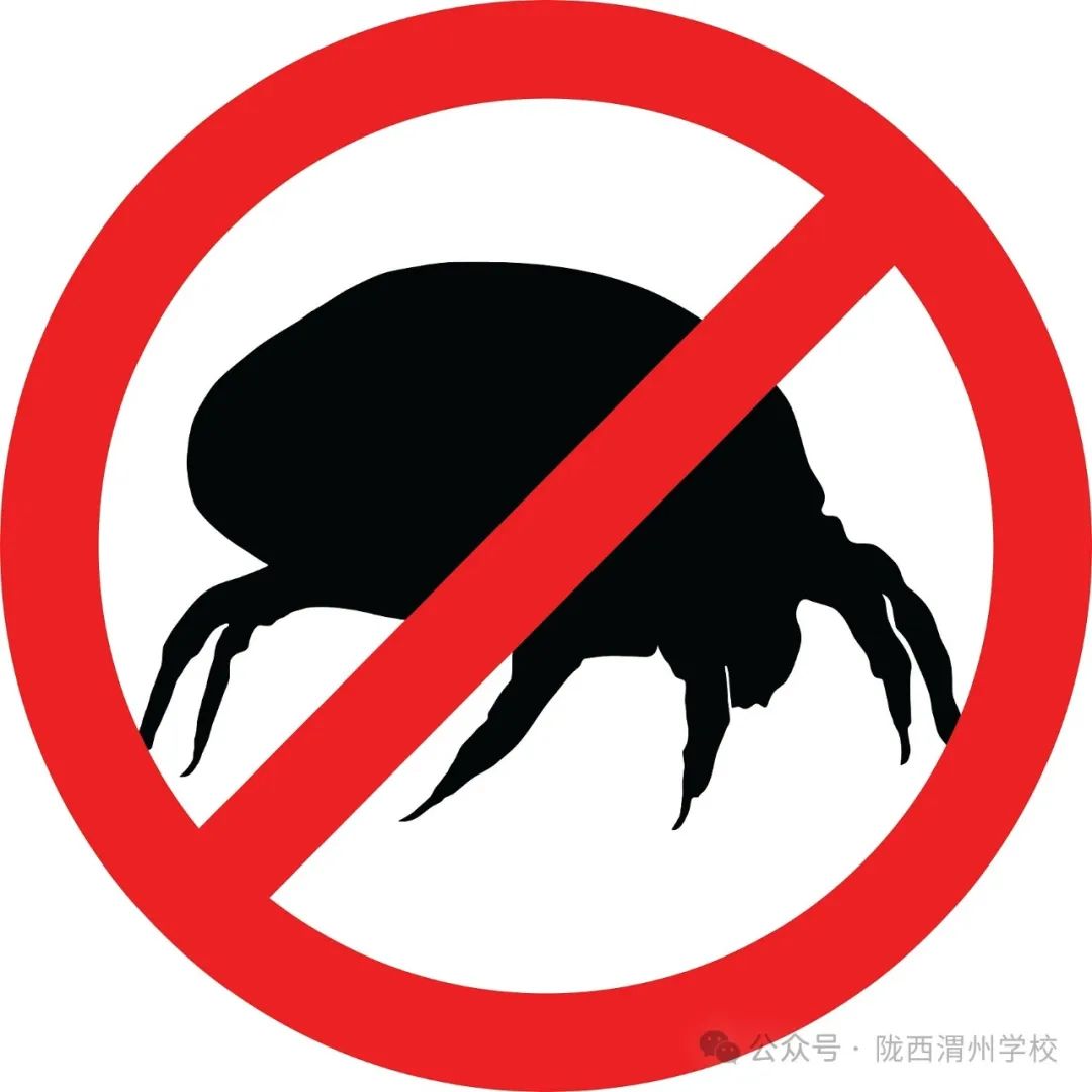 灭臭虫的用品_灭臭虫的最好方法_专业灭臭虫