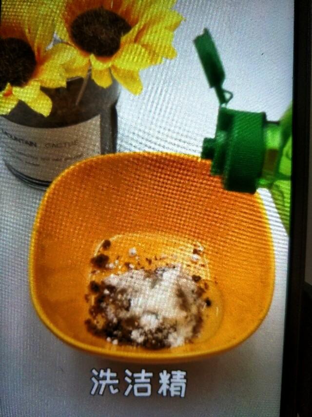 蟑螂药灭蟑螂_灭蟑螂药哪种最有效_灭蟑螂用药