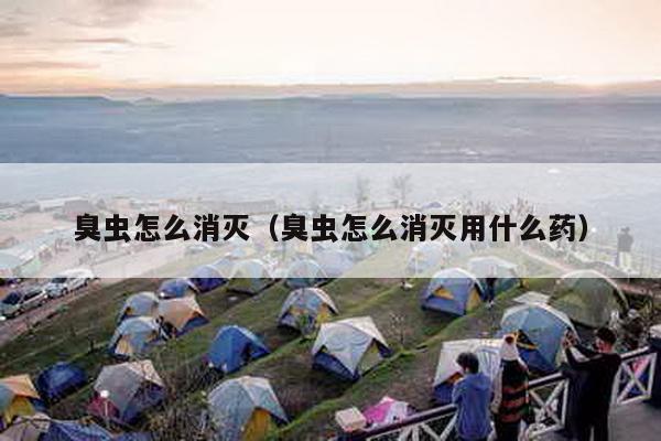 怎么灭床上的臭虫_怎么灭床上臭虫_床上杀臭虫的喷什么药