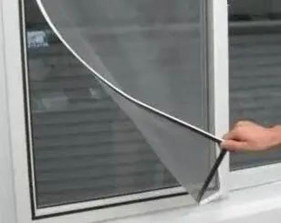 白蚁家里_家里有白蚁怎么处理_白蚁处理家里有什么好处