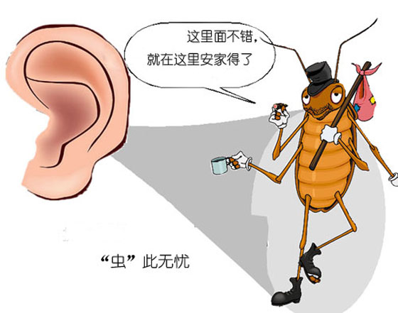 灭蟑螂的方法_蟑螂灭除方法_蟑螂怎么消灭最彻底小妙招知乎
