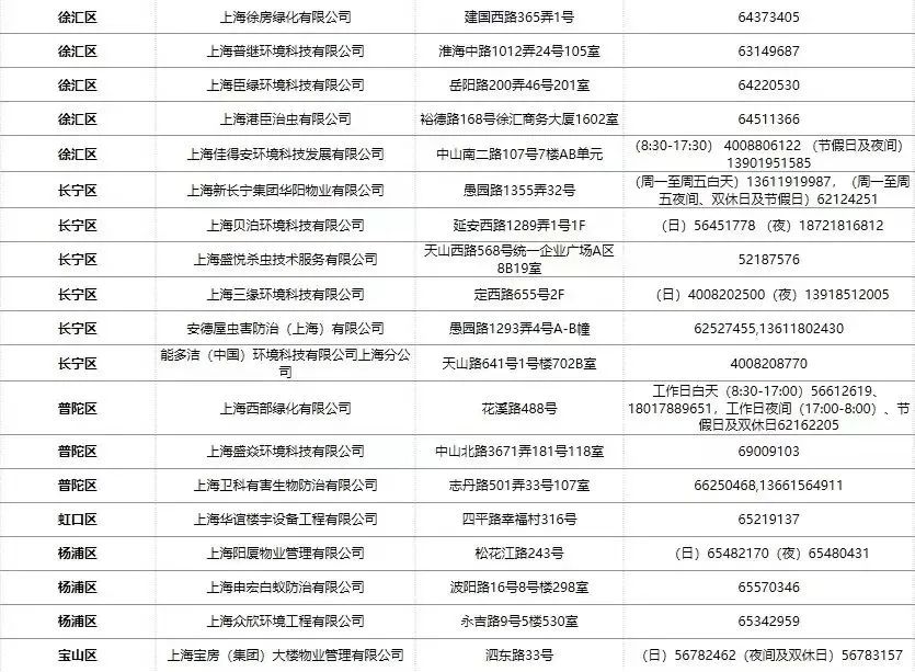 白蚁家里_白蚁处理家里有甲醛吗_家里有白蚁怎么处理