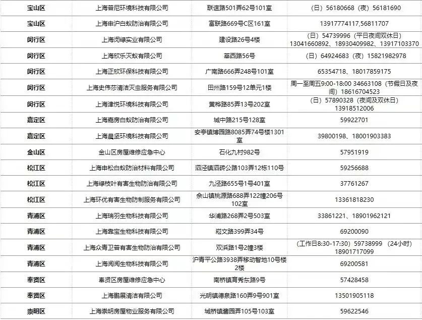 家里有白蚁怎么处理_白蚁处理家里有甲醛吗_白蚁家里