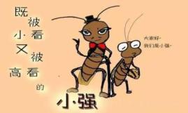 蟑螂怎样杀灭_蟑螂怎么消灭最彻底知乎_灭蟑螂最好办法