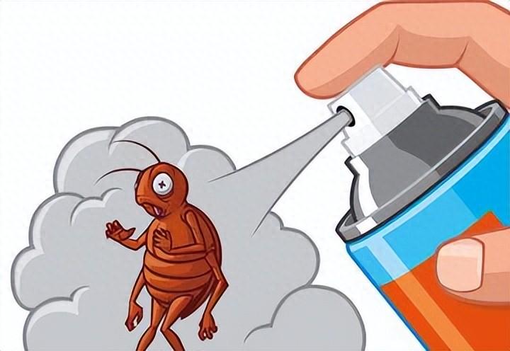灭臭虫有效方法图片_灭臭虫最有效的方法_灭臭虫有效方法