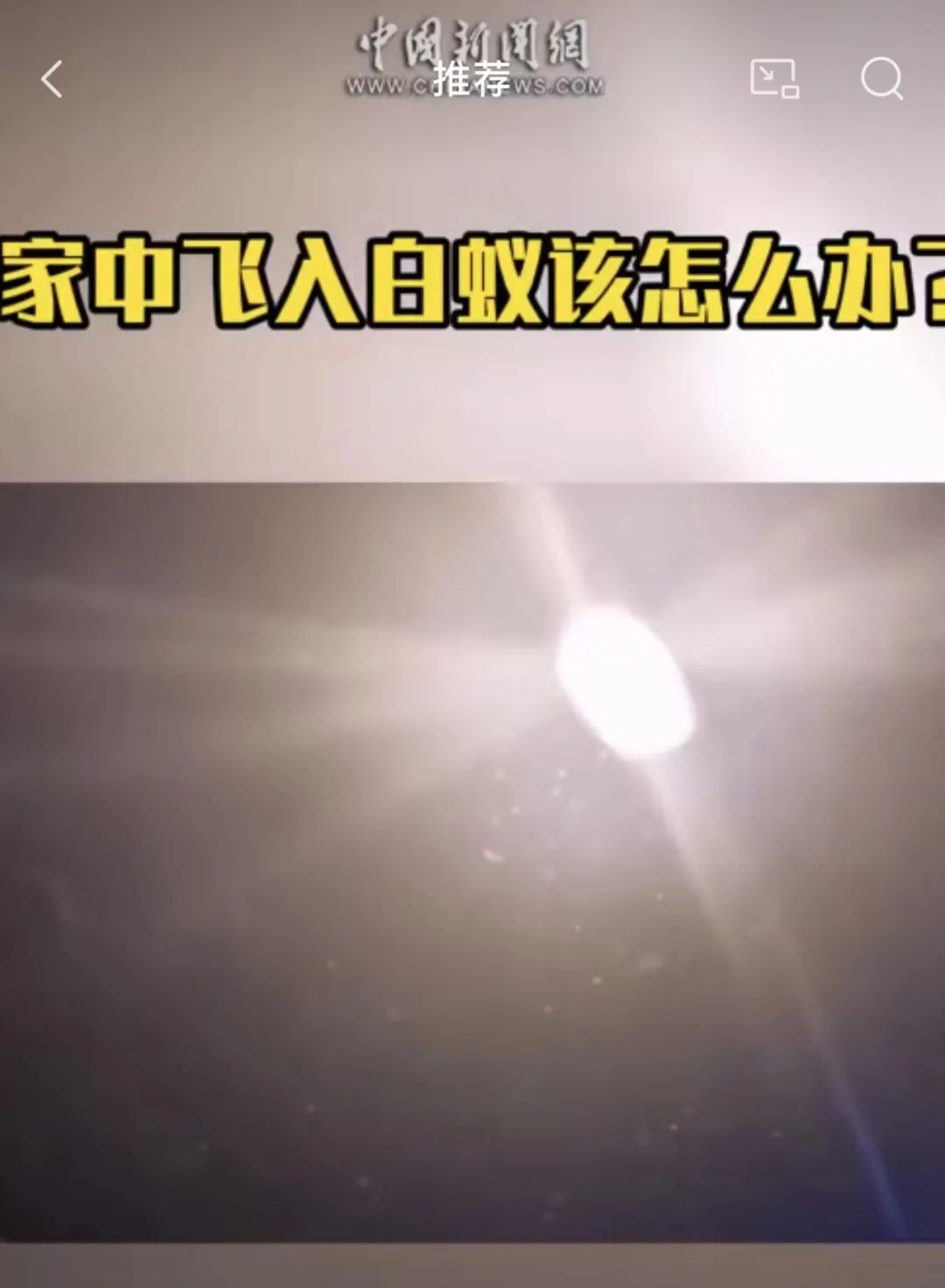 灭白蚁要多少钱_灭白蚁要钱吗_灭白蚁一次1500