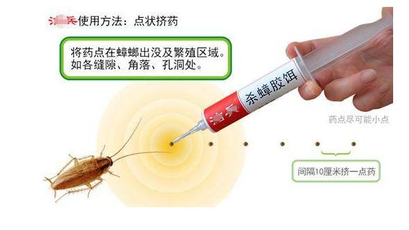 蟑螂用什么土办法可以消灭掉_灭蟑螂最好土办法_怎么可以灭蟑螂的土办法