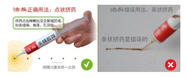 灭蟑螂最好土办法_蟑螂用什么土办法可以消灭掉_怎么可以灭蟑螂的土办法