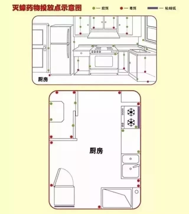 灭蟑螂最好土办法_杀蟑螂土方_蟑螂用什么土办法可以消灭掉