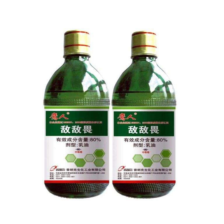 跳蚤的卵_跳蚤的卵_跳蚤的卵