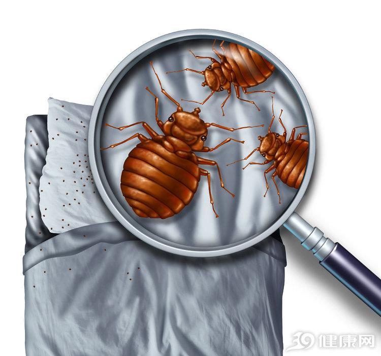 杀臭虫的最佳药_杀臭虫有什么特效药_灭臭虫多少钱