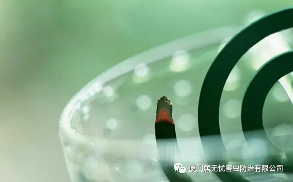 灭老鼠服务公司_灭老鼠的公司_灭老鼠找哪家公司好