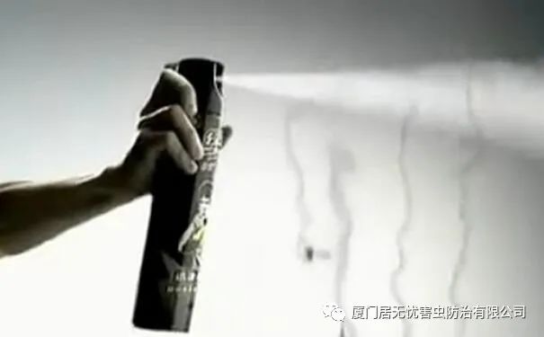 灭老鼠找哪家公司好_灭老鼠服务公司_灭老鼠的公司