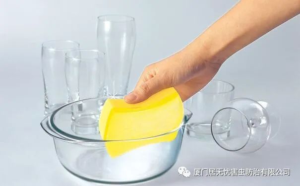 灭老鼠找哪家公司好_灭老鼠的公司_灭老鼠服务公司
