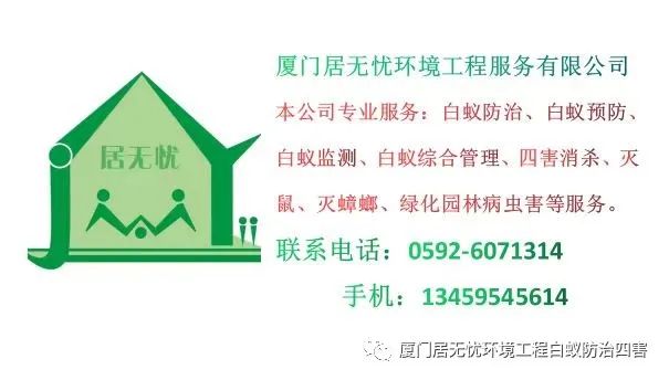 灭老鼠的公司_灭老鼠服务公司_灭老鼠找哪家公司好