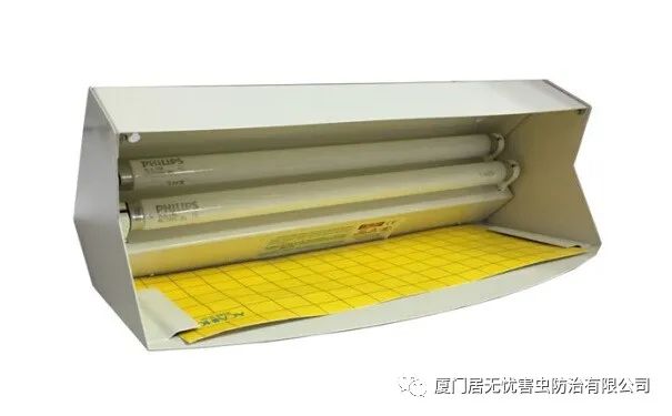 灭老鼠找哪家公司好_灭老鼠的公司_灭老鼠服务公司