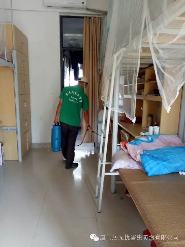 灭老鼠找哪家公司好_灭老鼠的公司_灭老鼠服务公司