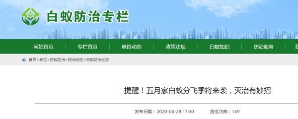 白蚁图片大全大图高清_白蚁图片_白蚁图片真实照片