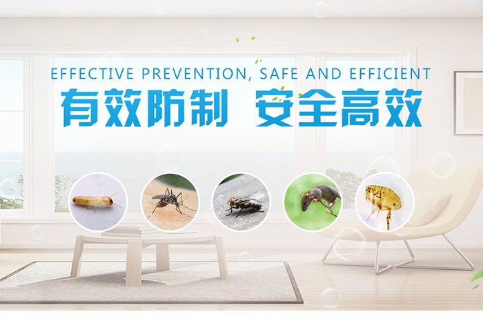 灭白蚁是哪个部门_灭白蚁部门_专业灭白蚁团队