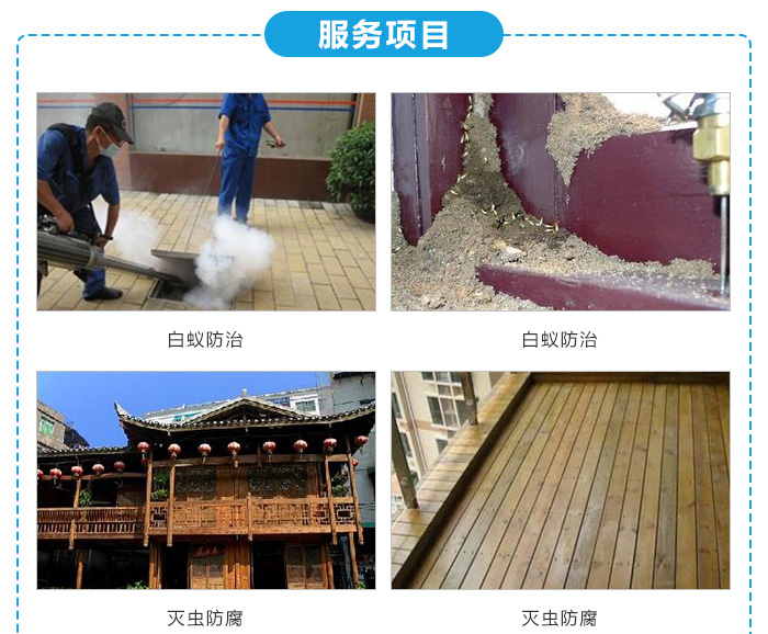 专业灭白蚁团队_灭白蚁部门_灭白蚁是哪个部门