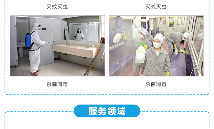 灭白蚁部门_专业灭白蚁团队_灭白蚁是哪个部门