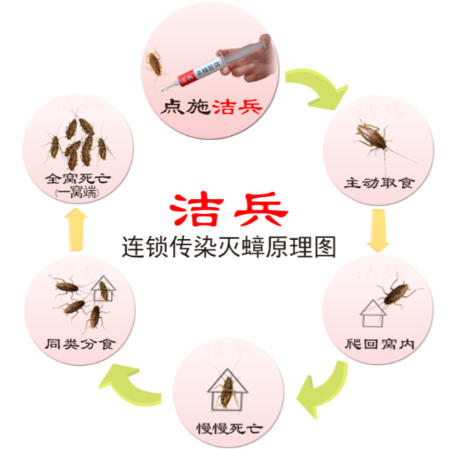 灭蟑螂药有毒吗_灭蟑螂最有效的药_蟑螂灭虫药