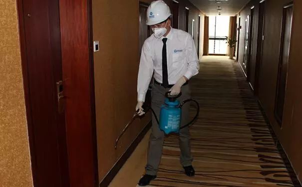 灭跳蚤最有效的方法_灭跳蚤_灭跳蚤最快最有效的方法