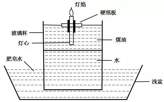 灭跳蚤_灭跳蚤最快最有效的方法_灭跳蚤最有效的方法