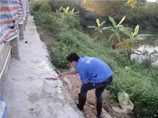 老鼠灭老鼠_灭老鼠办法_老鼠怎么灭知乎