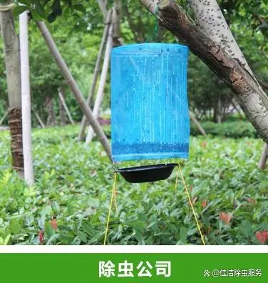 灭臭虫公司收费_杀虫公司杀臭虫管用吗_杀臭虫公司
