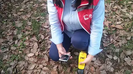 灭白蚁防治_灭治白蚁有哪些药物_灭杀白蚁的最好的药