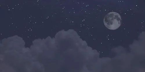 什么药灭蟑螂最有效