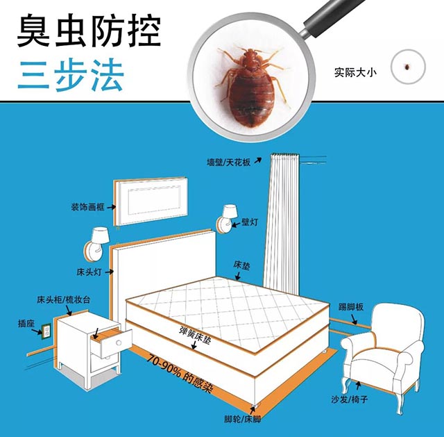 灭臭虫用什么药最好_怎么灭臭虫_灭臭虫的最好方法