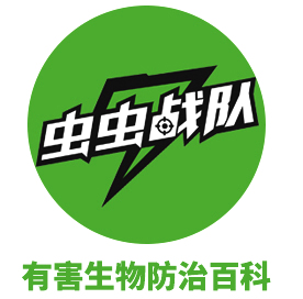怎么灭臭虫_灭臭虫用什么药最好_灭臭虫的最好方法