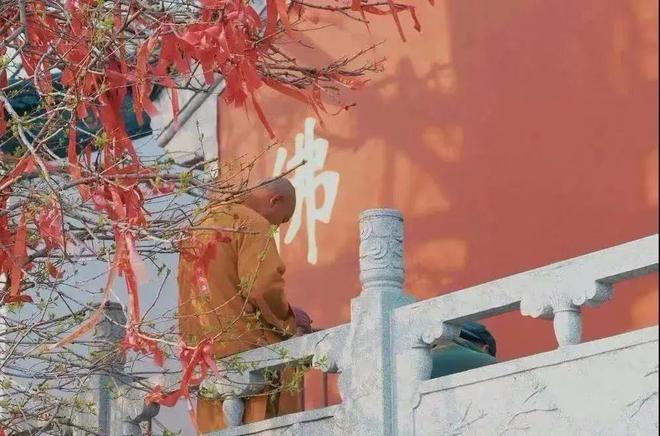 老鼠杀的完吗_老鼠可以杀生吗_灭老鼠算杀生吗