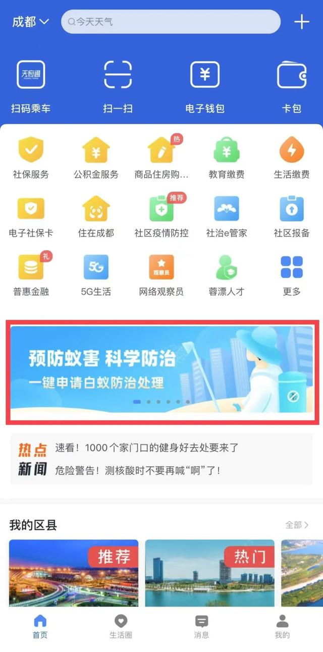 预警！成都白蚁开始飞了，灭蚁看这里 | 川叔知民生