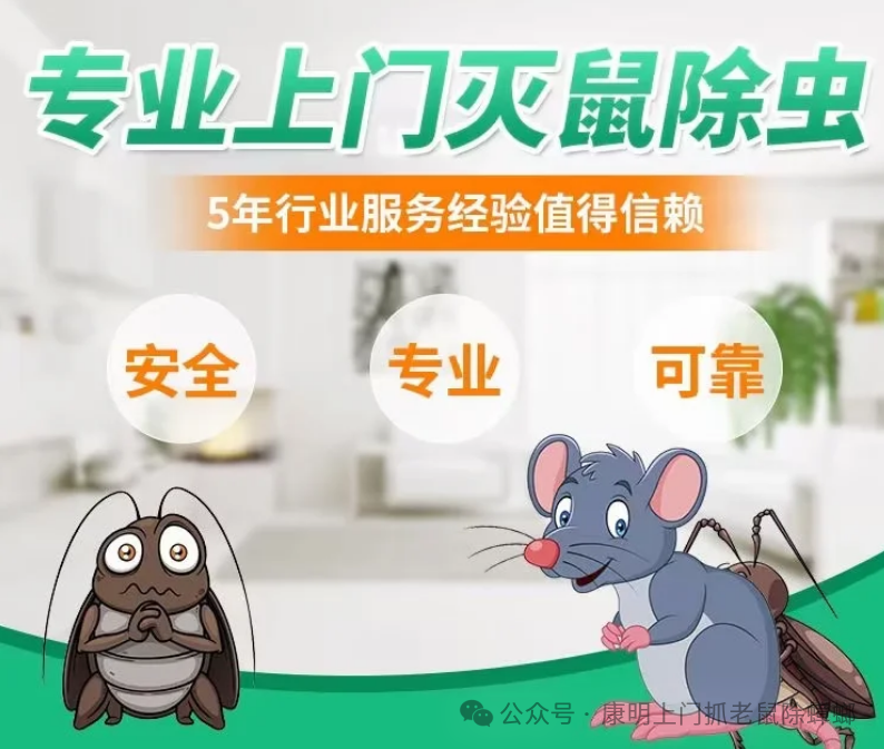 灭老鼠蟑螂公司挂靠_灭老鼠蟑螂机器图片_灭老鼠灭蟑螂