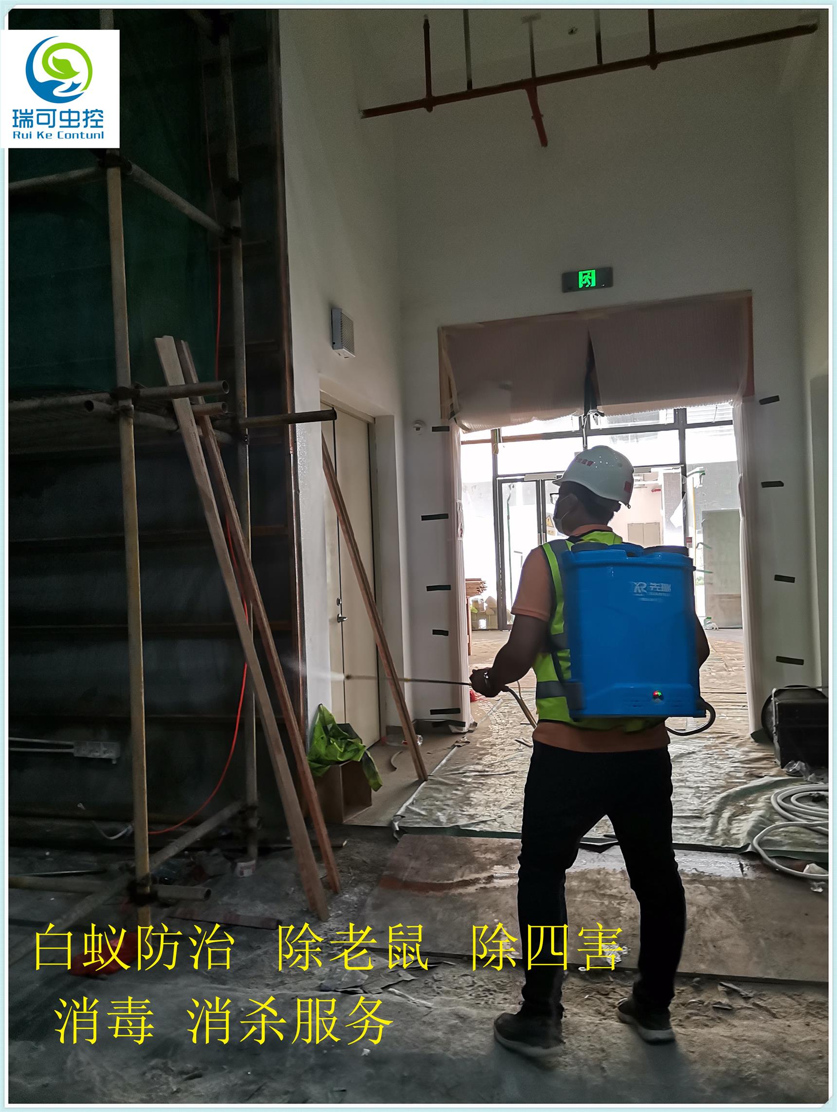 江门江海区白蚁消杀机构