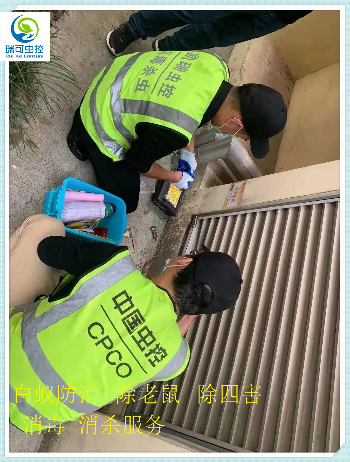 江门江海区白蚁消杀机构